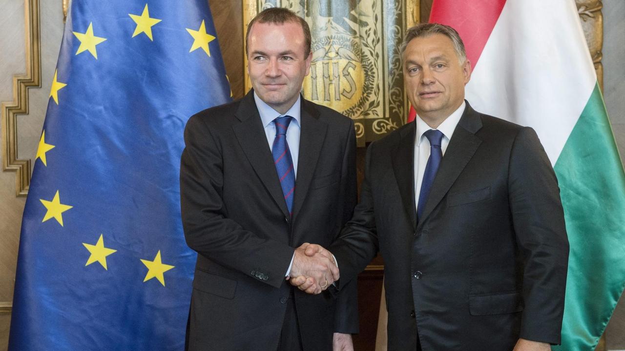 Das Bild vom 11. September 2015 zeigt EVP-Fraktionschef Manfred Weber (CSU) und Ungarns Ministerpräsident Viktor Orban, die sich die Hände schütteln.