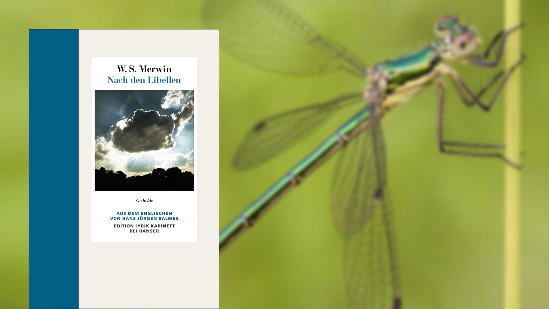 Buchcover W.S. Merwin: "Nach den Libellen"
