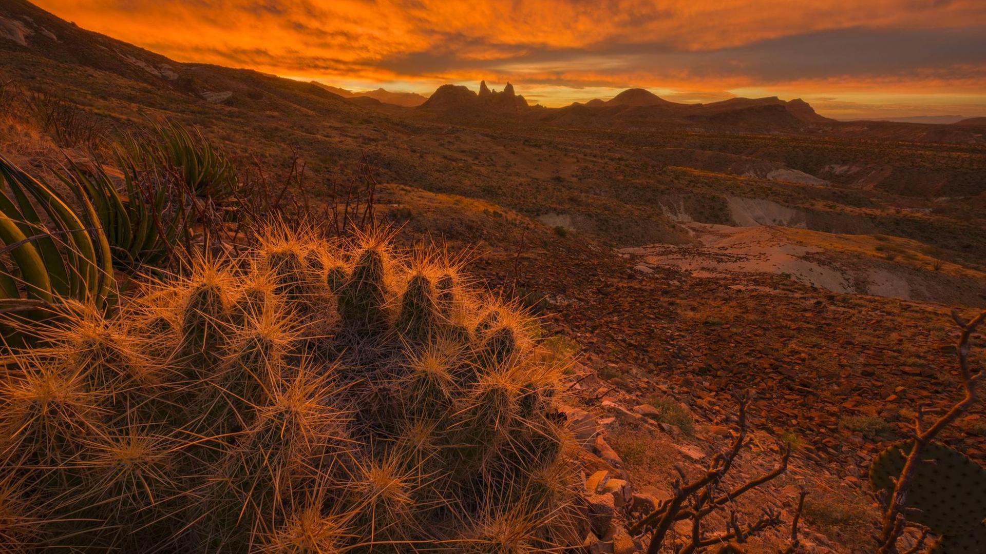 Sonnenaufgang im Big Bend National Park in Texas Sonnenaufgang im Big Bend National Park in Texas
