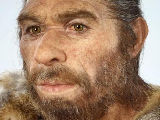 Der Neandertaler bekommt ein neues Gesicht. Die Künstlerin Elisabeth Daynès aus Paris hat auf Basis der Knochen, dem berühmtesten Rheinländer eine neue Gestalt gegeben.