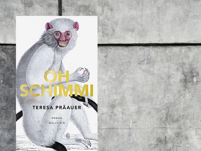 Teresa Präauer: "Oh Schimmi" (Roman)