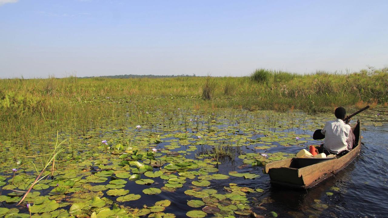 Ein Mann paddelt durch ein Sumpfgebiet am Victoriasee, Uganda. Ein Mann paddelt durch ein Sumpfgebiet am Victoriasee, Uganda.