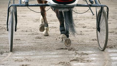 Symbolfoto Trabfahren: Teil eines Pferd-Sulky-Gespanns von hinten