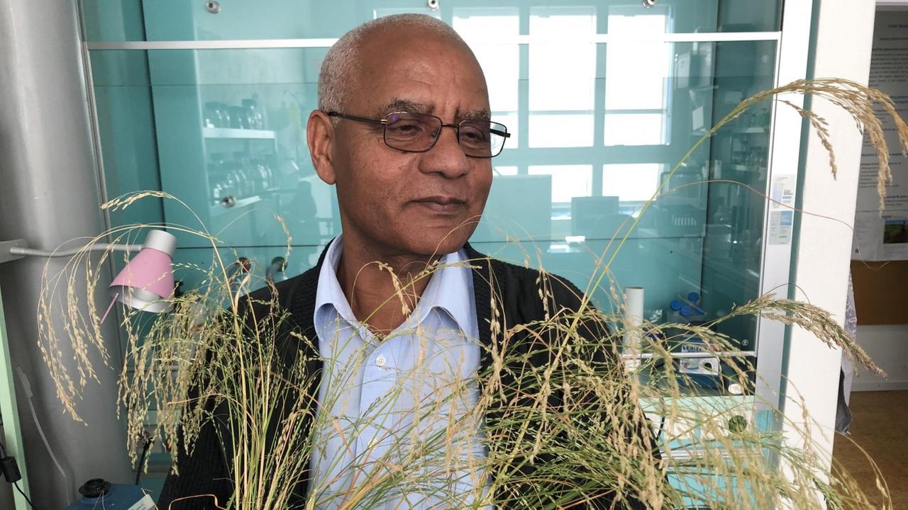 Porträt Zerihun Tadele Porträt Zerihun Tadele