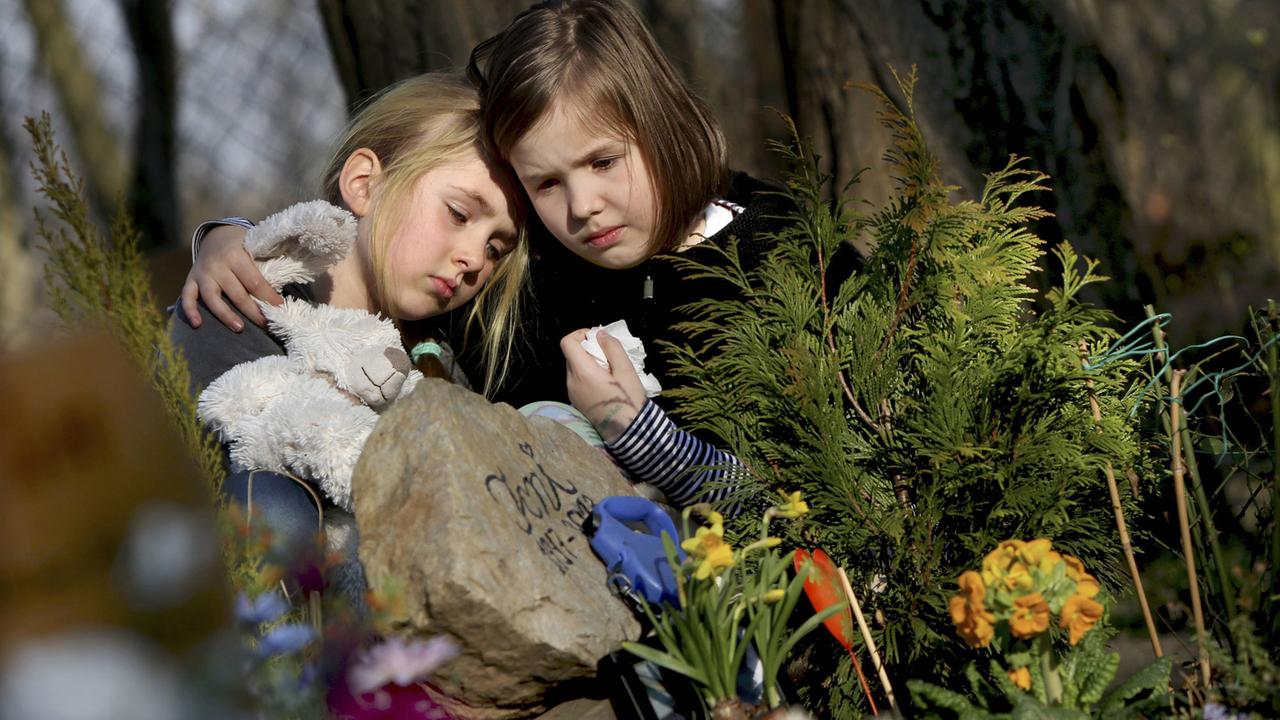 Mädchen trauern um ihr Haustier auf einem Tierfriedhof. Mädchen trauern um ihr Haustier auf einem Tierfriedhof.