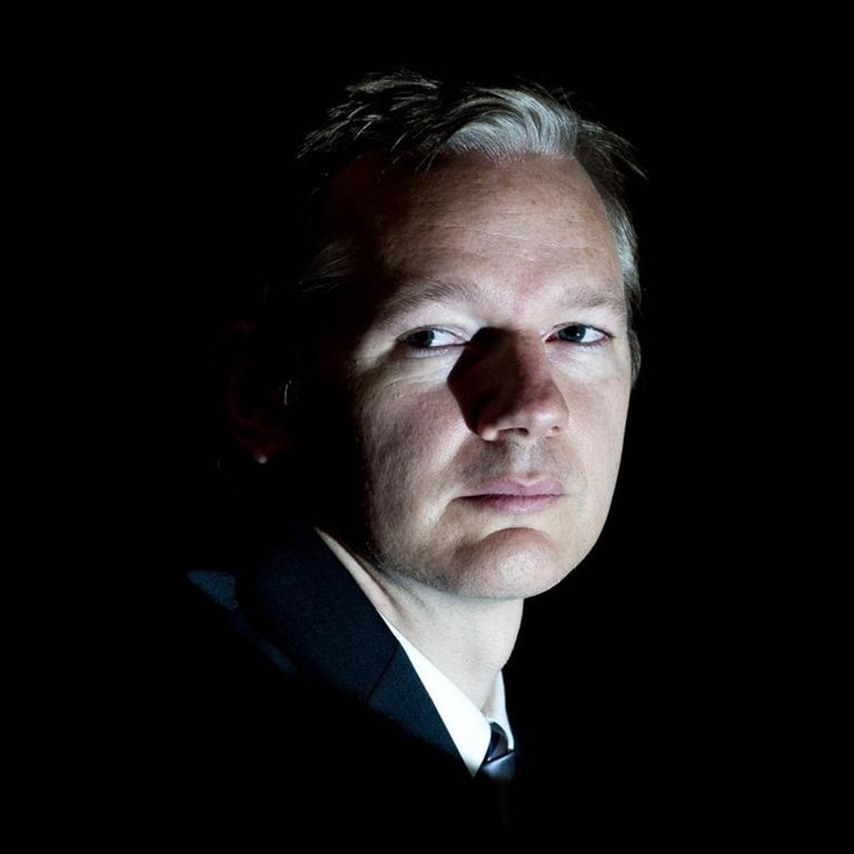 Julian Assange, Wikileaks-Gründer