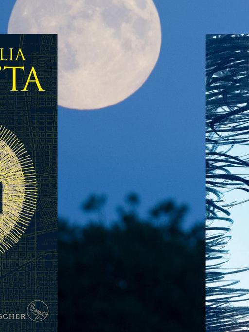 Buchcover links: María Cecilia Barbetta: „Nachtleuchten“, rechts: Heinz Helle: „Die Überwindung der Schwerkraft“