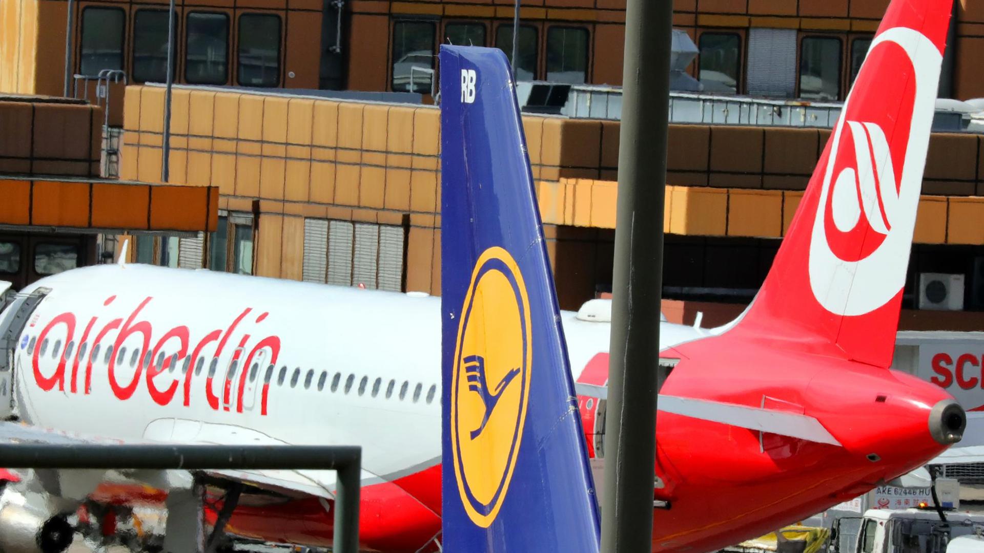 Eine Maschine der Fluggesellschaft Lufthansa rollt am 21.09.2017 auf dem Flughafen in Berlin-Tegel an Maschinen von Air Berlin vorbei. Eine Maschine der Fluggesellschaft Lufthansa rollt am 21.09.2017 auf dem Flughafen in Berlin-Tegel an Maschinen von Air Berlin vorbei.
