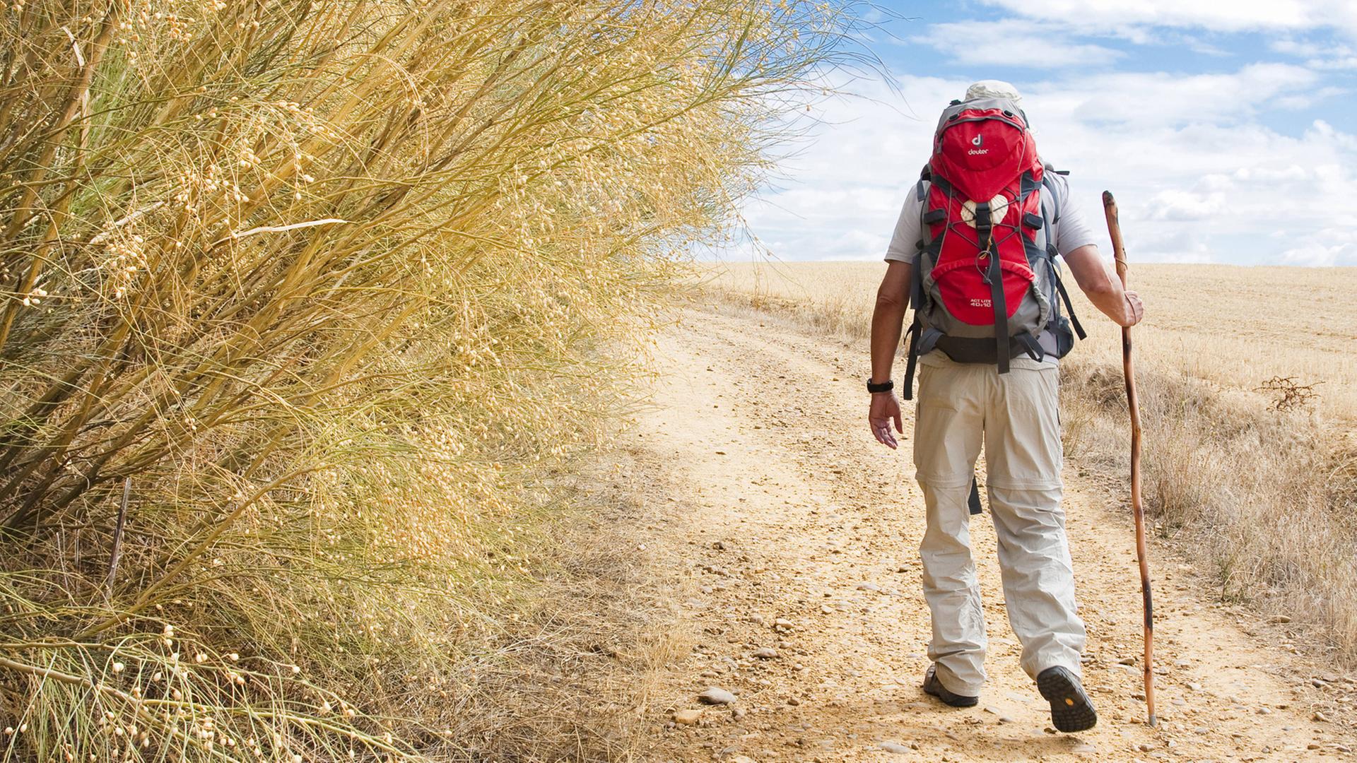 Jakobsweg: Ein Pilger auf dem mühsamen Weg nach Sahagun, Spanien, Kastilien und Leon Jakobsweg: Ein Pilger auf dem mühsamen Weg nach Sahagun, Spanien, Kastilien und Leon