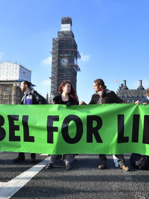 Die Demonstranten stehen nebeneinander auf der Brücke und halten das grüne Banner in den Händen. Dahinter das eingerüstete Parlament mit dem Big Ben.