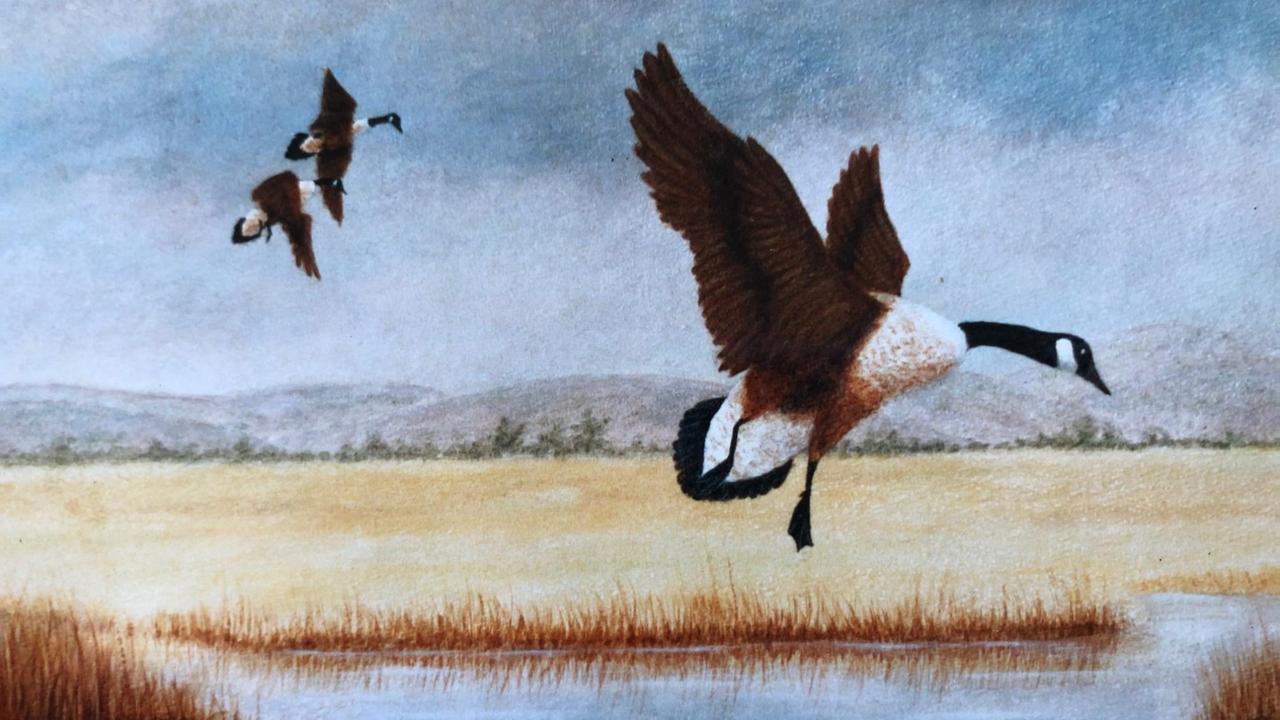 Bild, das Vögel zeigt, die über eine Seenlandschaft fliegen.