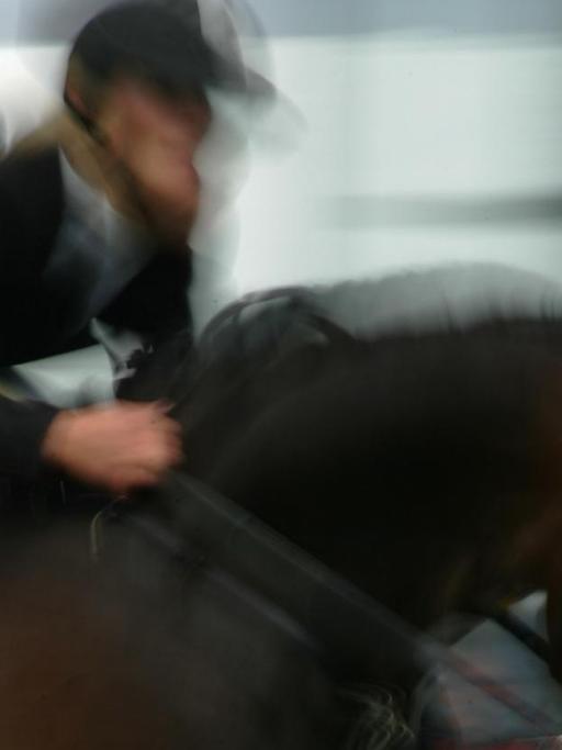 Reiter und Pferd in Aktion beim Springreiten.