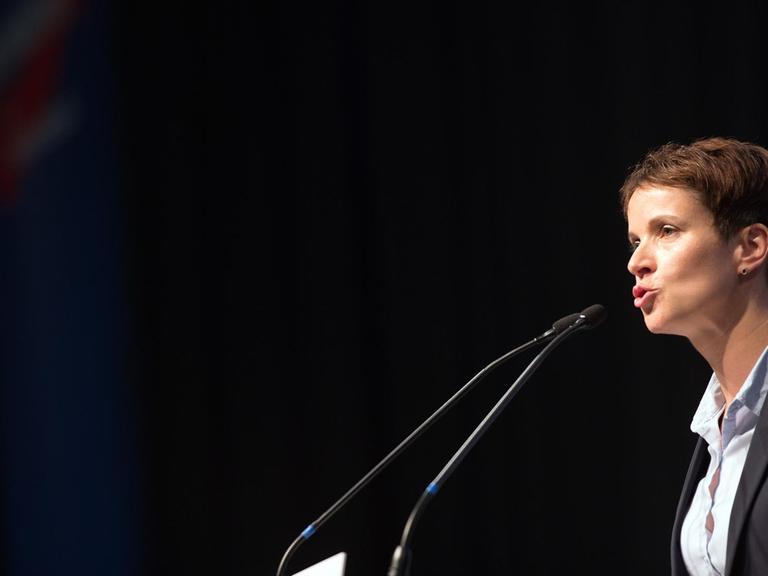 Die Afd-Vorsitzende Frauke Petry spricht am 04.07.2015 in Essen beim Parteitag der AfD.