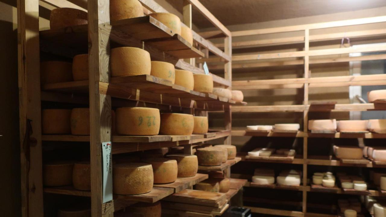Käse liegt in Regalen in einem Reiferaum. Käse liegt in Regalen in einem Reiferaum.