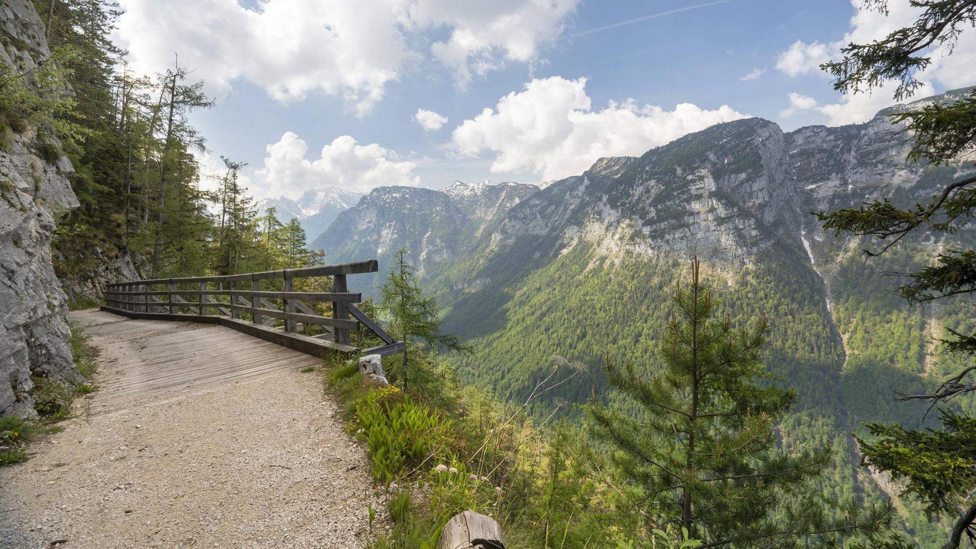 wanderweg,lattengebirge,wanderwege *** trail,lattengebirge,trails ftv-mjr wanderweg,lattengebirge,wanderwege *** trail,lattengebirge,trails ftv-mjr