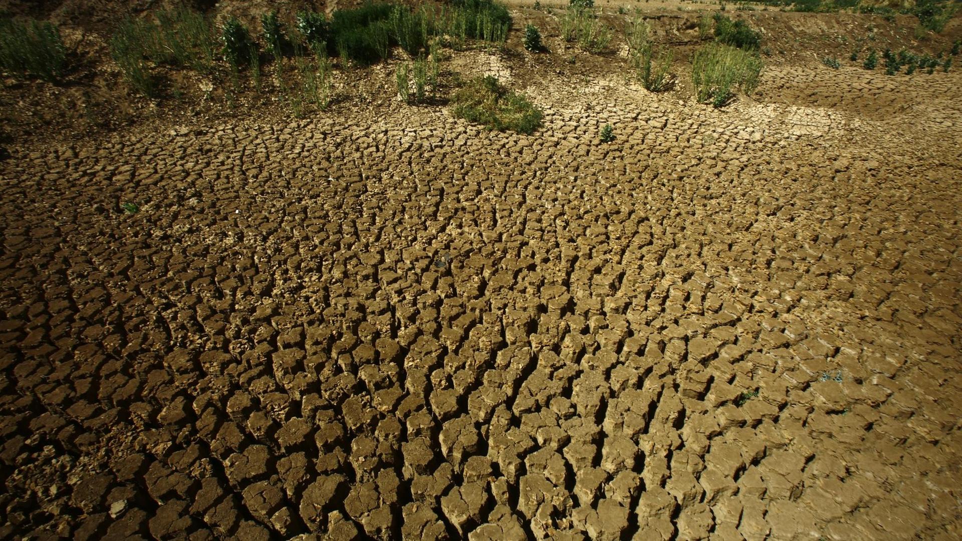 Vor Trockenheit rissige Erde während einer Dürre im Sudan. Vor Trockenheit rissige Erde während einer Dürre im Sudan.