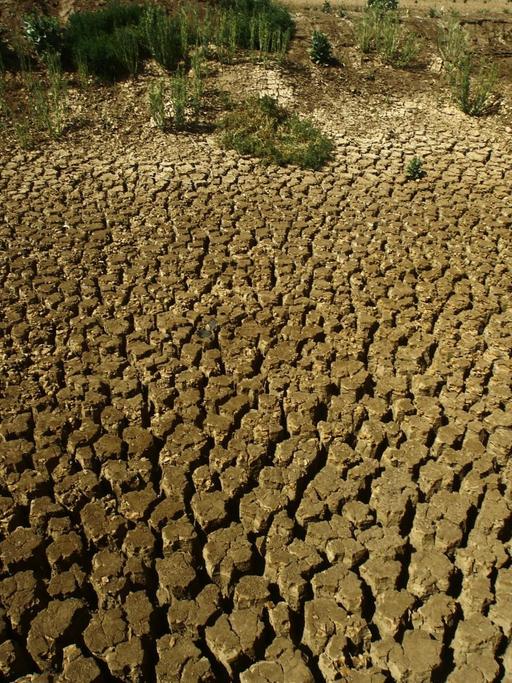 Vor Trockenheit rissige Erde während einer Dürre im Sudan.