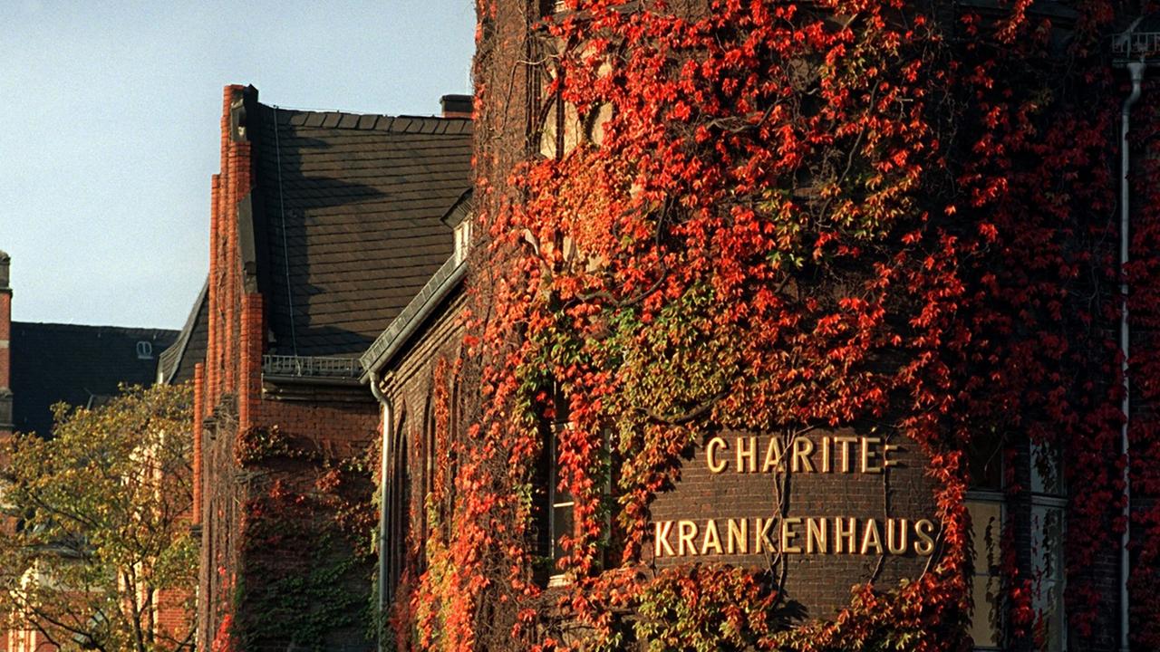 Berlin: Bunter wilder Wein in seiner Herbstfärbung umhüllt die Mauern der alten Gebäude der Berliner Charité. Die Geschichte des ältesten Berliner Krankenhauses geht auf das Jahr 1710 zurück. Berlin: Bunter wilder Wein in seiner Herbstfärbung umhüllt die Mauern der alten Gebäude der Berliner Charité. Die Geschichte des ältesten Berliner Krankenhauses geht auf das Jahr 1710 zurück.