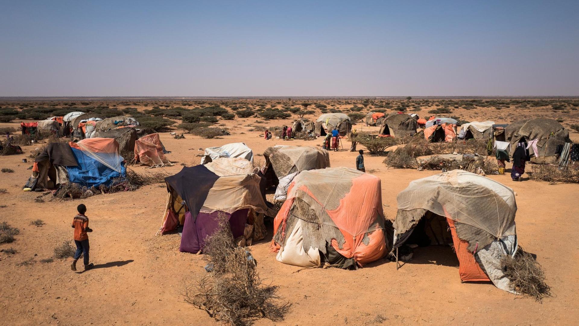 Blick über ein Zeltlager nomadischer Viehhirten in Uusgure, Somalia am 22.02.2017. Aufgrund der anhaltenden Dürre haben sich nomadische Viehhirten am Rande des Dorfes niedergelassen. Viele von ihnen haben ihre Bestände von Ziegen und Kamelen - und damit ihre Lebensgrundlage - verloren.