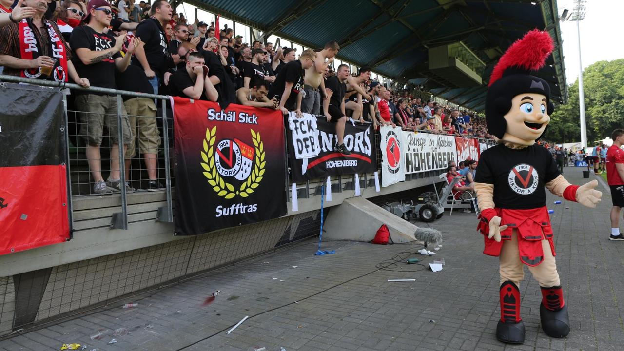 Fans von Viktoria Köln feiern auf den Rängen. Fans von Viktoria Köln feiern auf den Rängen.