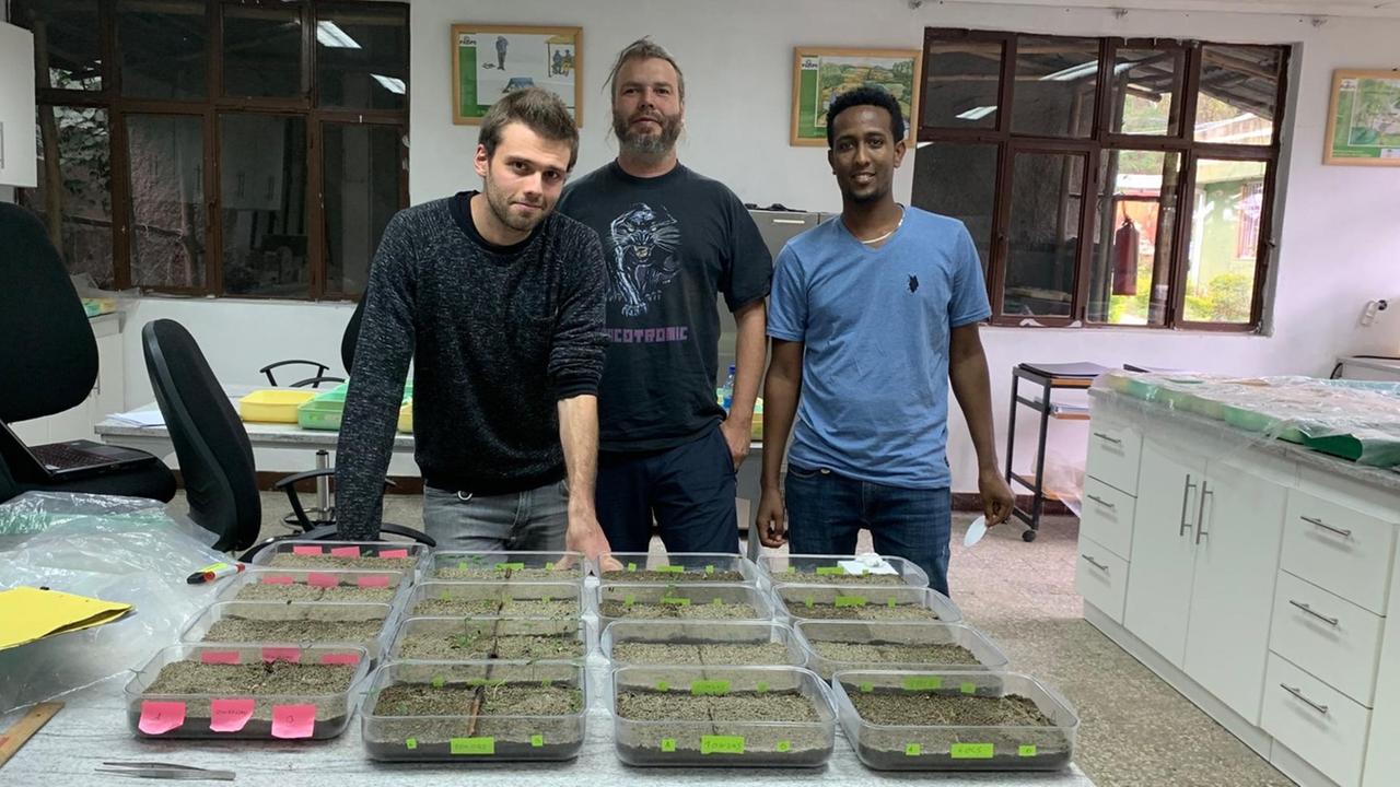 Ein Hamburger und äthiopischer Student prüfen gemeinsam Keimungsraten äthiopischer Baumarten Addis Abeba in Äthiopien.