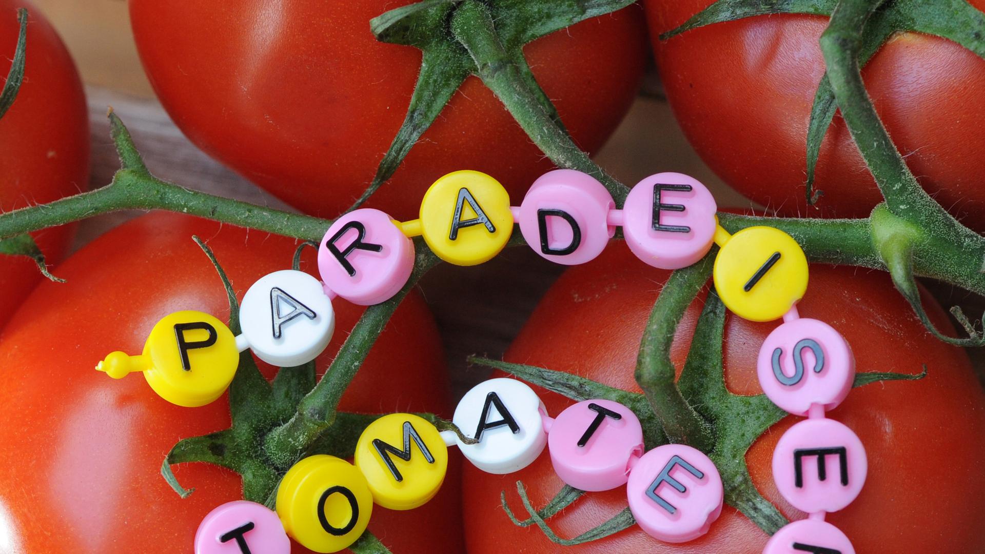 Tomaten, an denen auch der Begriff "Paradeiser" steht. Tomaten, an denen auch der Begriff "Paradeiser" steht.