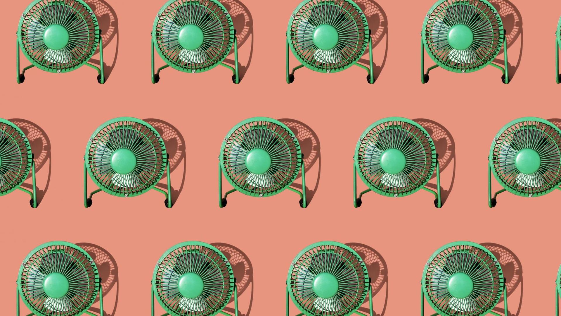 Illustration von grünen Ventilatoren auf lachsfarbenem Grund