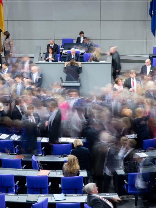 Bundestagsabgeordnete geben im Bundestag im Februar 2019 ihre Stimmkarte bei einer namentlichen Abstimmungab.