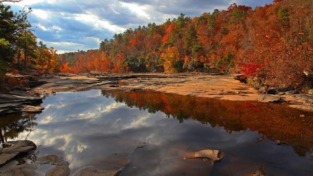 Goldener Herbst: Verfärbte Blätter - Indian Summer genannt - im Gebiet des Lookout Mountain im US-Bundesstaat Alabama.