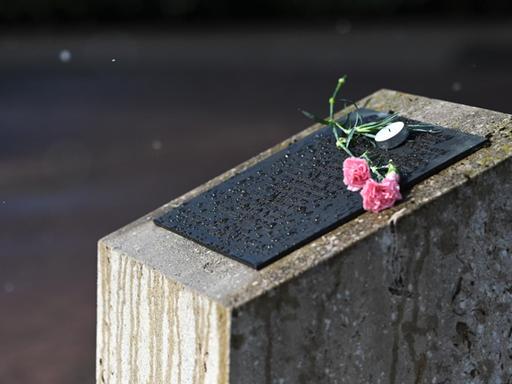 Nelken liegen auf dem Gedenkstein für die NSU-Opfer auf dem Halitplatz in Kassel.