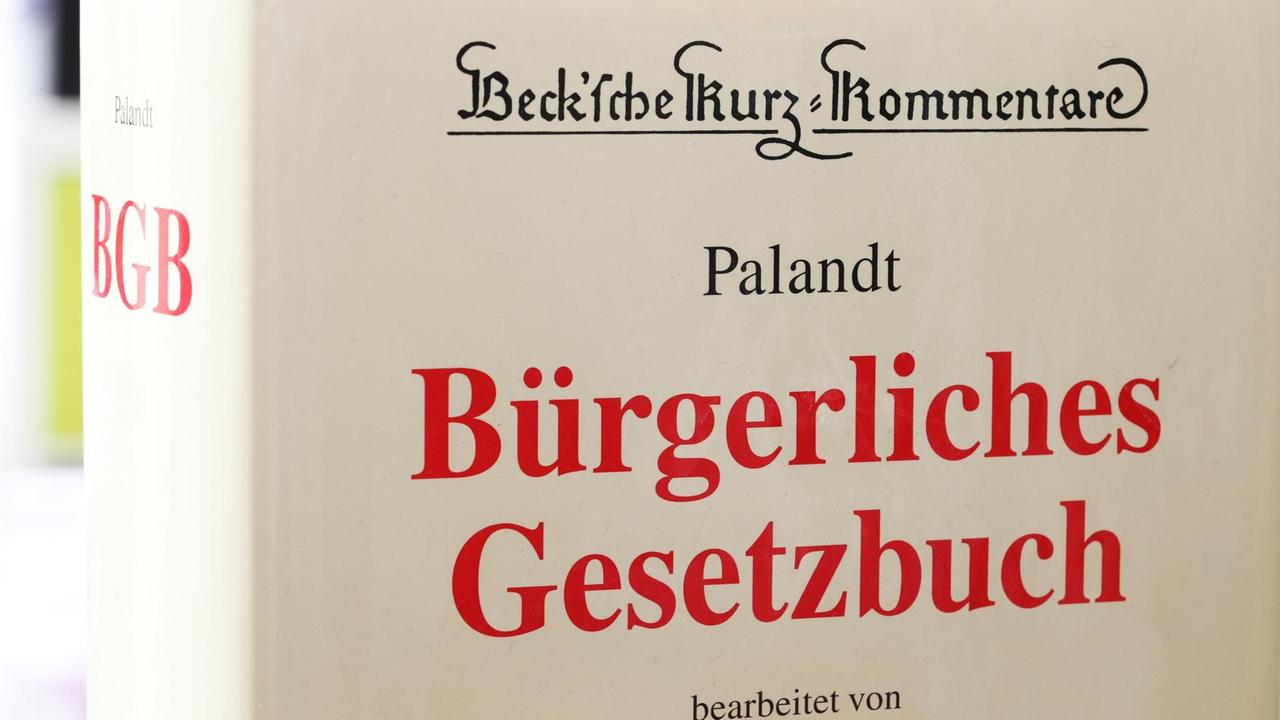 Das Bild ist eine Nahaufnahme des sogenannten "Palandt", einem Kommentar zum Bürgerlichen Gesetzbuch. Das Bild ist eine Nahaufnahme des sogenannten "Palandt", einem Kommentar zum Bürgerlichen Gesetzbuch.