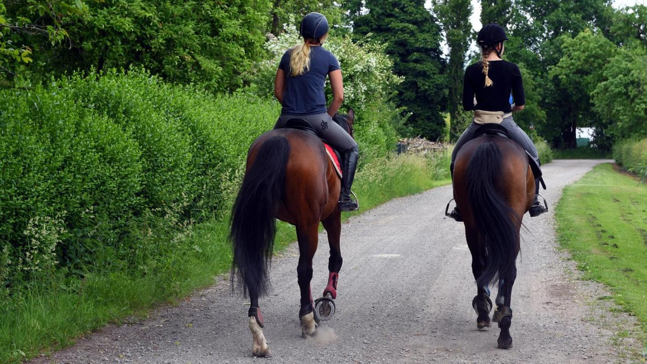Mädchen reiten auf Pferden Mädchen reiten auf Pferden