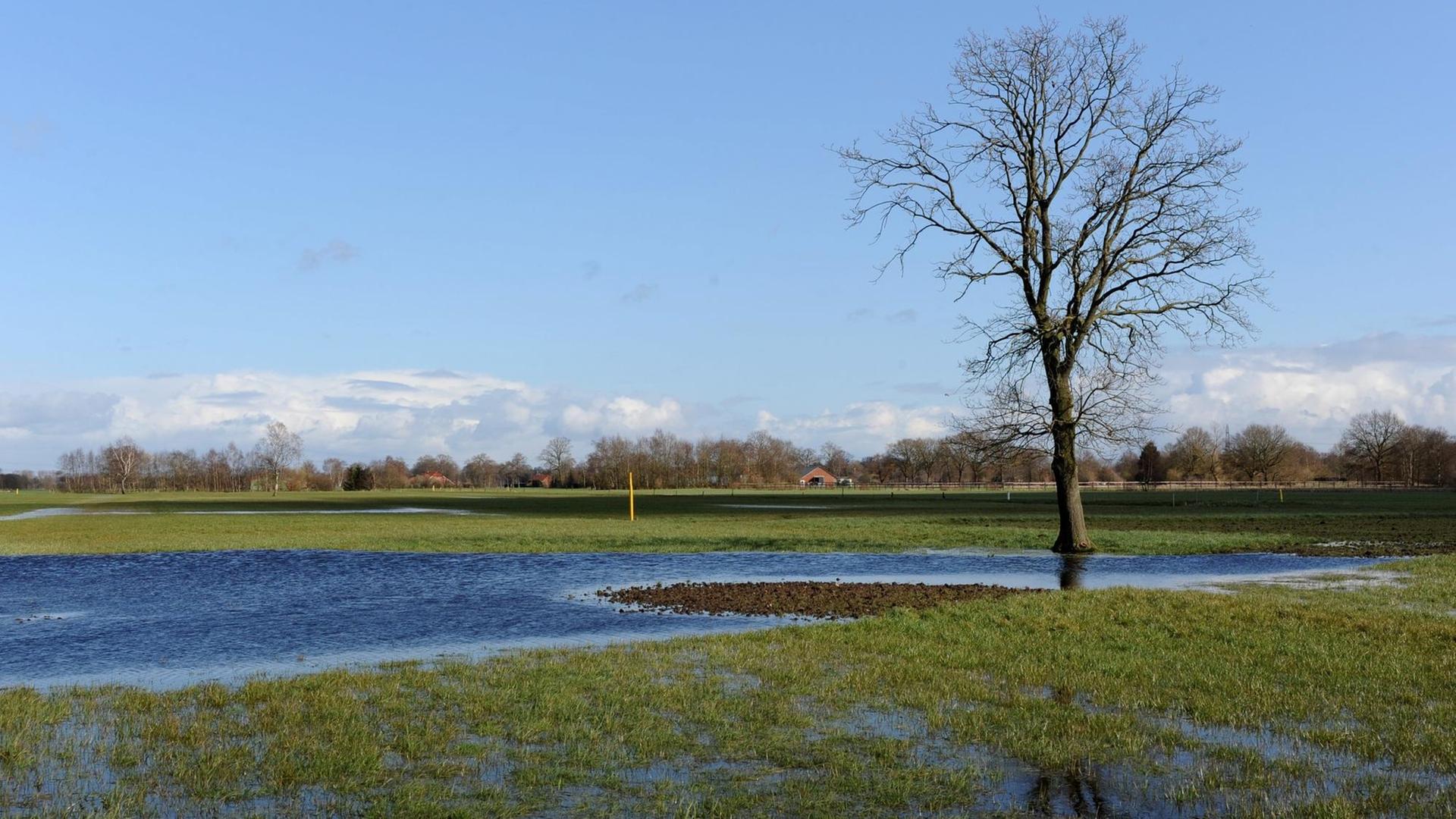 Eine Wiese nahe dem dem emsländischen Rhede (Niedersachsen) steht nach schweren Regenschauern weitläufig unter Wasser. Ein großer Anteil von landwirtschaftlichen Nutzflächen ist zur Zeit im Emsland durchnässt und aufgeweicht.