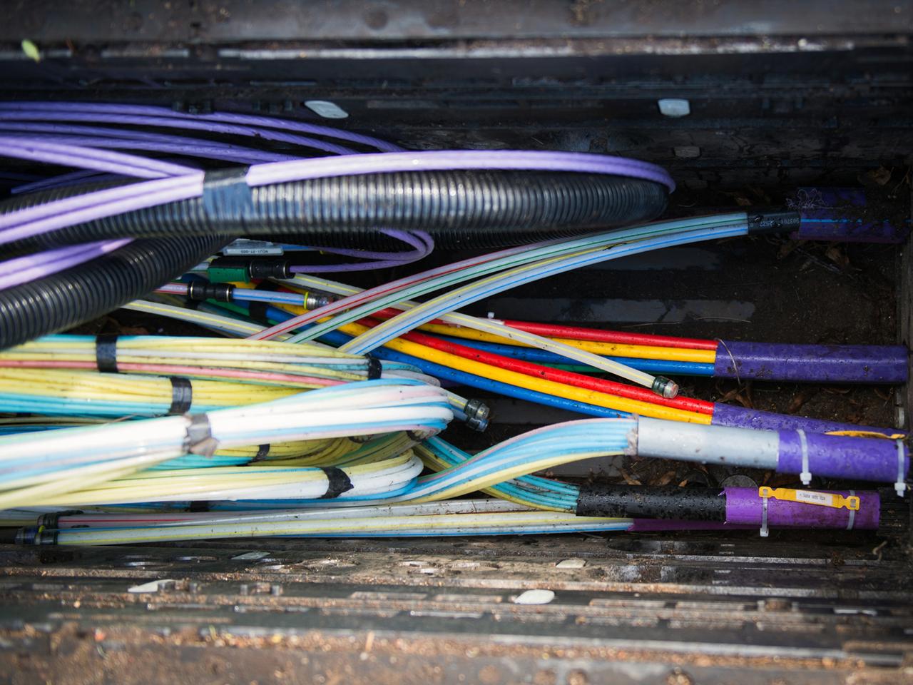 Zahlreiche Glasfaserkabel unter anderem zur Übertragung von Hochgeschwindigkeitsinternet. Zahlreiche Glasfaserkabel unter anderem zur Übertragung von Hochgeschwindigkeitsinternet.