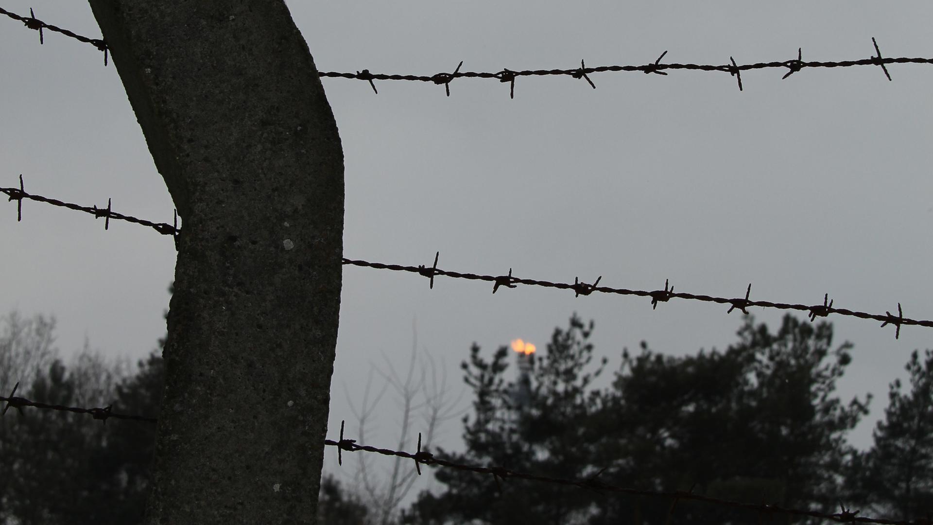 Stacheldraht auf dem Gefängniszaun in der Dämmerung Stacheldraht auf dem Gefängniszaun in der Dämmerung