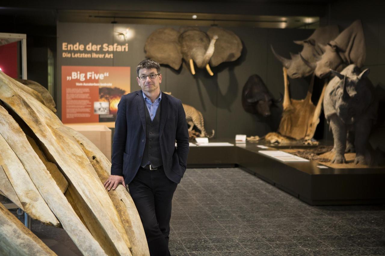 Der Evolutionsbiologe Matthias Glaubrecht im Centrum für Naturkunde (CeNak), Universität Hamburg Der Evolutionsbiologe Matthias Glaubrecht im Centrum für Naturkunde (CeNak), Universität Hamburg