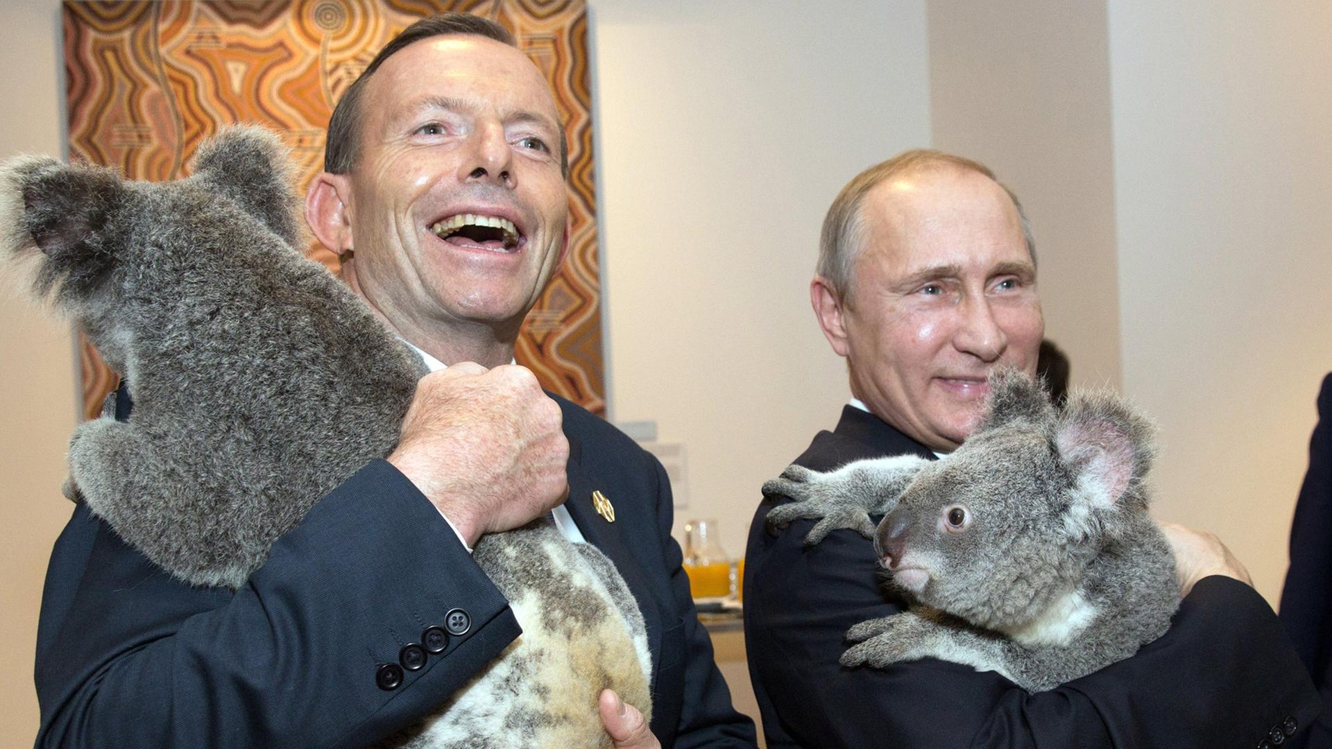 Australiens Premierminister Tony Abbott und Russlands Präsident Wladimir Putin halten beim G20-Gipfel in Brisbane/ Australien Koalabären auf dem Arm und freuen sich. Australiens Premierminister Tony Abbott und Russlands Präsident Wladimir Putin halten beim G20-Gipfel in Brisbane/ Australien Koalabären auf dem Arm und freuen sich.