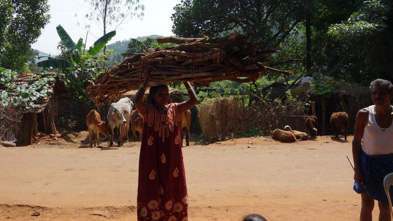 Die Frauen der Adivasi in Südindien schleppen oft täglich 30 Kilo Holz zum Heizen und Kochen. Hier trägt eine Frau große Bündel auf dem Kopf.