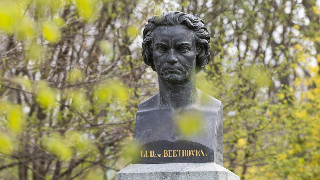 Beethovens Kopf inmitten aufkeimenden Grüns in einem Park. Beethovens Kopf inmitten aufkeimenden Grüns in einem Park.