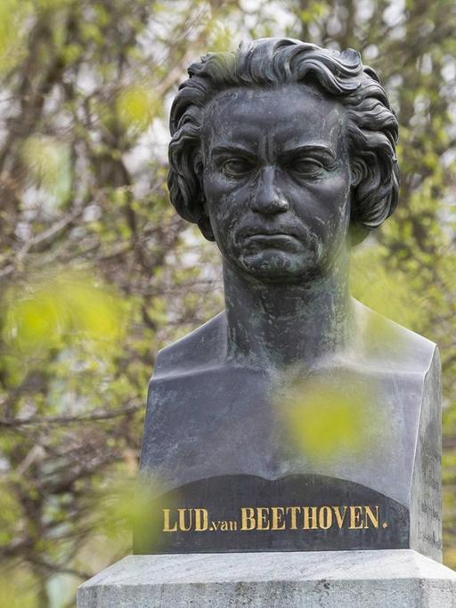 Beethovens Kopf inmitten aufkeimenden Grüns in einem Park.