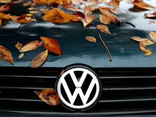 Herbstlaub liegt auf der Motorhaube eines VW-Polo