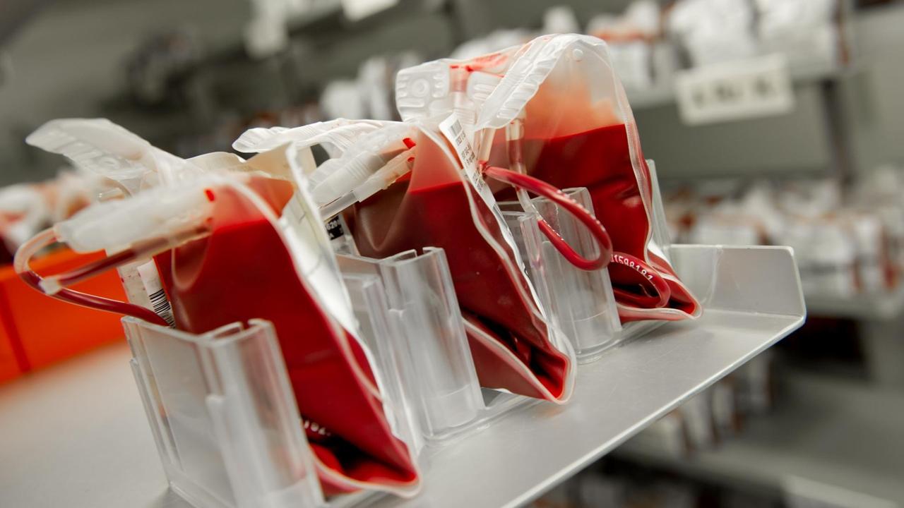Blutkonserven in einem Kühlraum im Universitätsklinikum Hamburg-Eppendorf