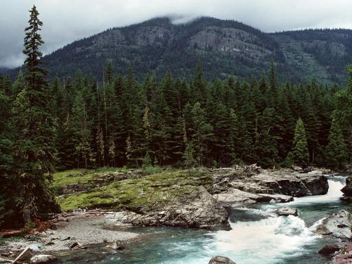 Blick auf den McDonald River, der durch eine idyllische Landschaft des Glacier National Park in den Rocky Mountains fließt.
