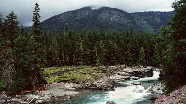 Blick auf den McDonald River, der durch eine idyllische Landschaft des Glacier National Park in den Rocky Mountains fließt.