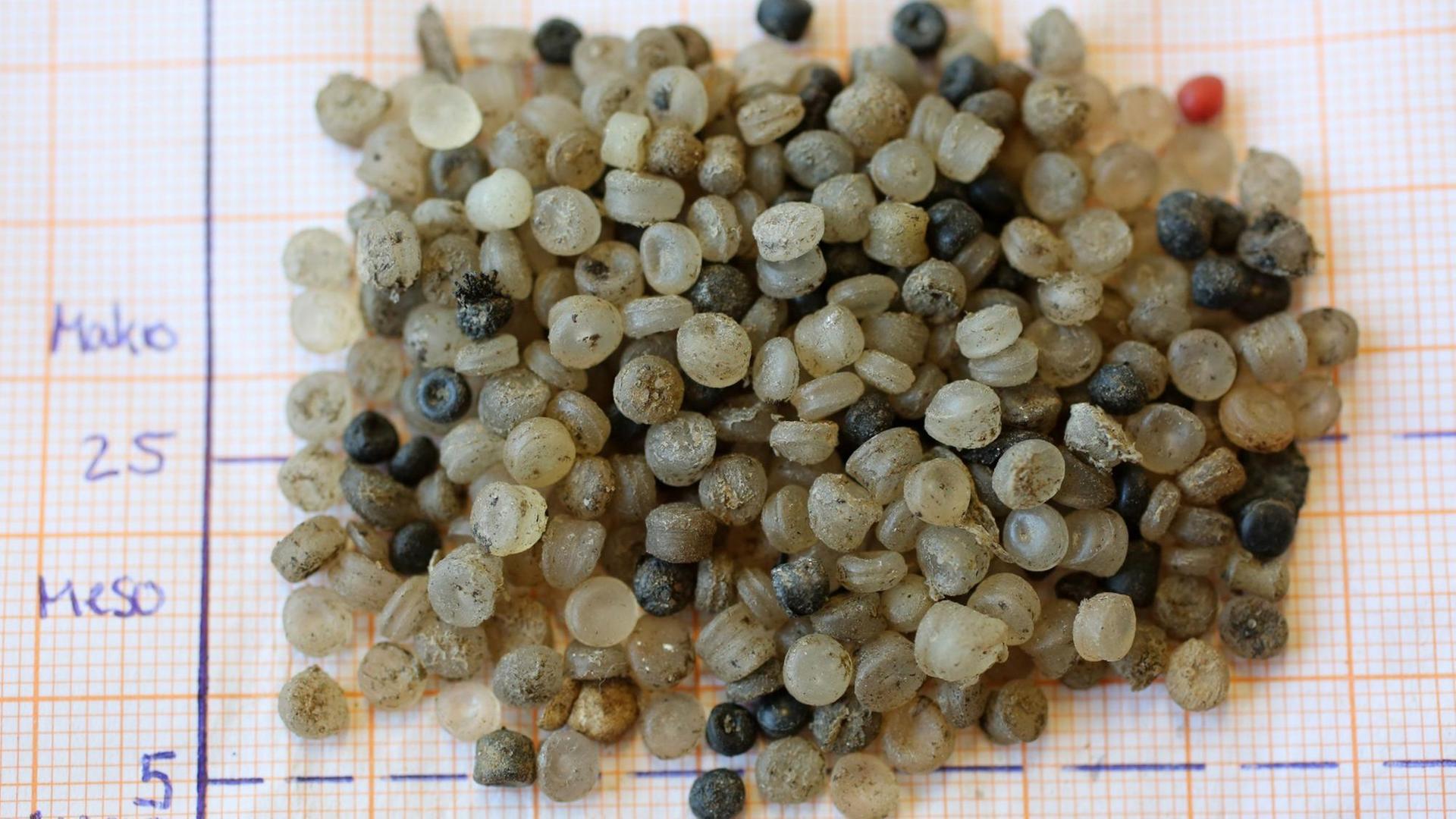 Mikroplastik-Teilchen, die am 17.03.2015 am Ufer der Warnow in Rostock gefunden wurden, liegen am 09.02.2016 im Leibniz-Institut für Ostseeforschung (IOW) in Warnemünde (Mecklenburg-Vorpommern) auf Millimeterpapier. Mikroplastik-Teilchen, die am 17.03.2015 am Ufer der Warnow in Rostock gefunden wurden, liegen am 09.02.2016 im Leibniz-Institut für Ostseeforschung (IOW) in Warnemünde (Mecklenburg-Vorpommern) auf Millimeterpapier.