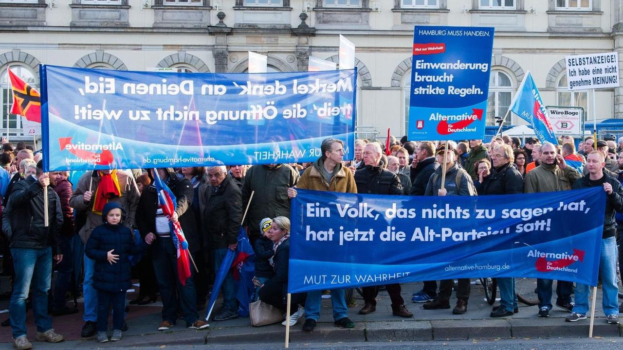 Anhänger der Partei Alternative für Deutschland (AfD) halten am 31.10.2015 in Hamburg während einer Kundgebung Transparente, Plakate und Fahnen hoch. Anhänger der Partei Alternative für Deutschland (AfD) halten am 31.10.2015 in Hamburg während einer Kundgebung Transparente, Plakate und Fahnen hoch.