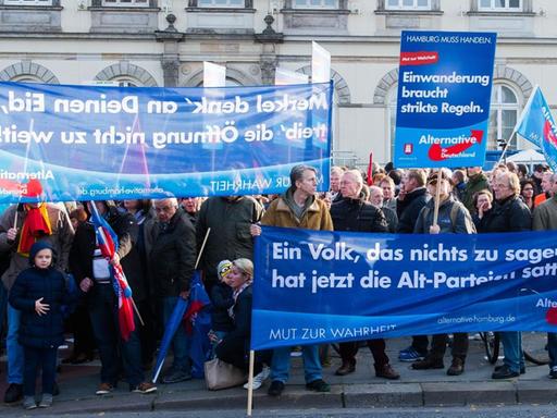 Anhänger der Partei Alternative für Deutschland (AfD) halten am 31.10.2015 in Hamburg während einer Kundgebung Transparente, Plakate und Fahnen hoch.