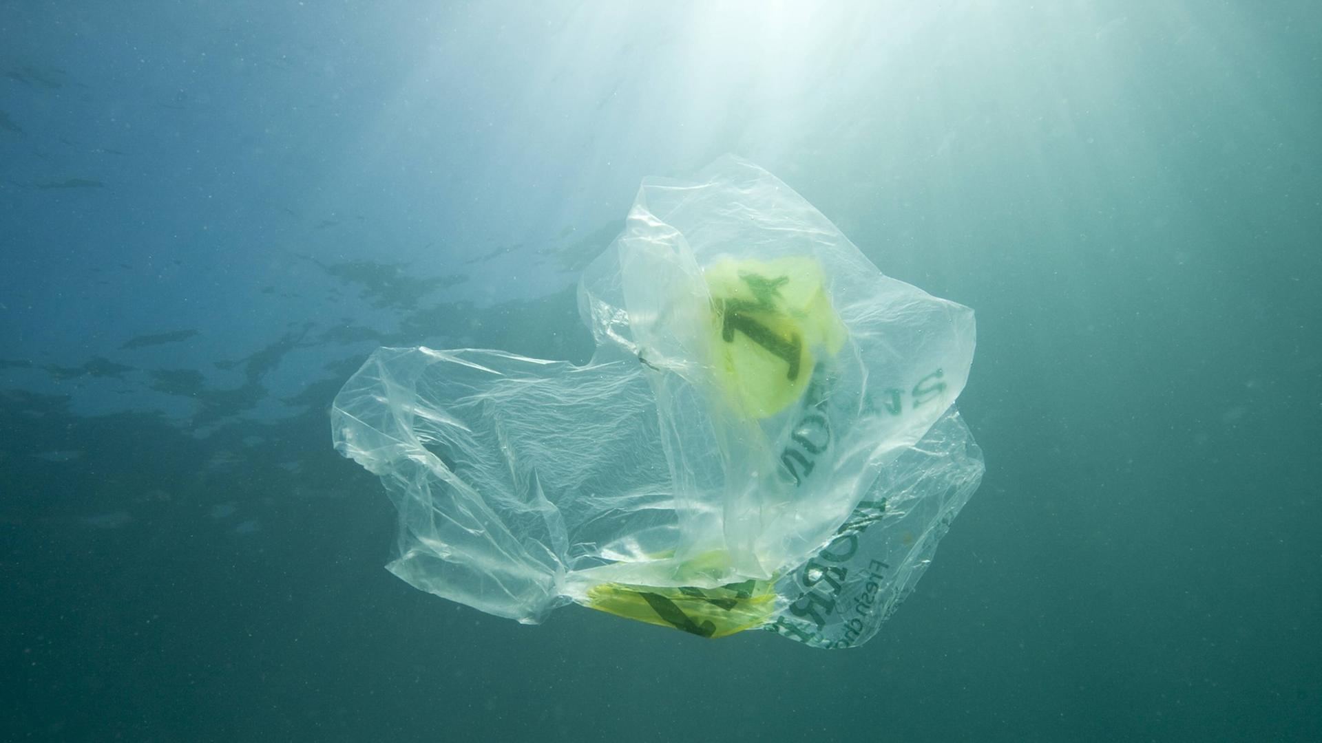 Eine Plastiktüte schwimmt ähnlich wie eine Qualle im Meer. Die Sonne scheint von oben auf die Tüte, der Rand ist dunkel. Eine Plastiktüte schwimmt ähnlich wie eine Qualle im Meer. Die Sonne scheint von oben auf die Tüte, der Rand ist dunkel.