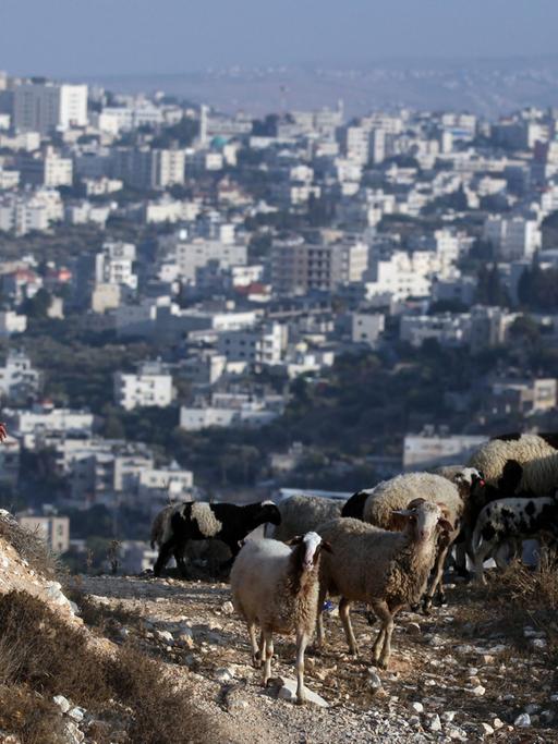 Blick auf die Ortschaft Beit Jala im von Israel besetzten Westjordanland