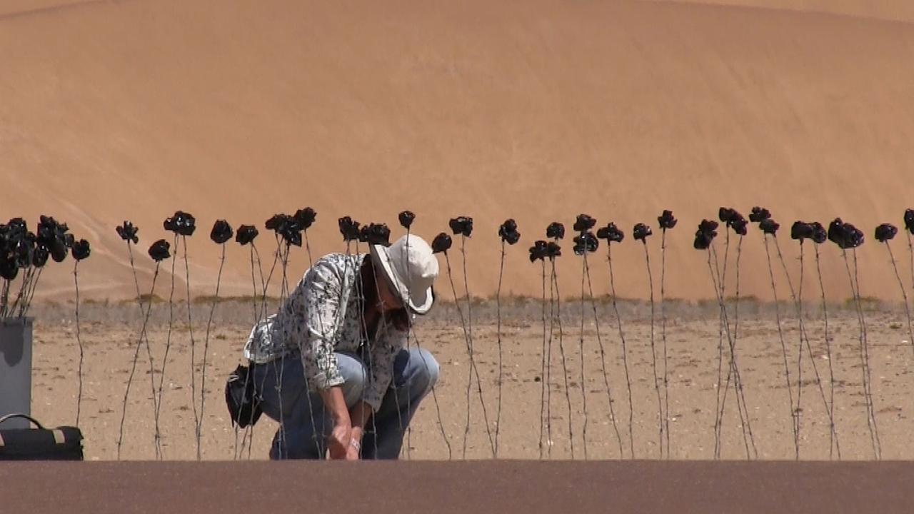 Imke Rust steckt schwarze Rosen in die Wüste in Namibia